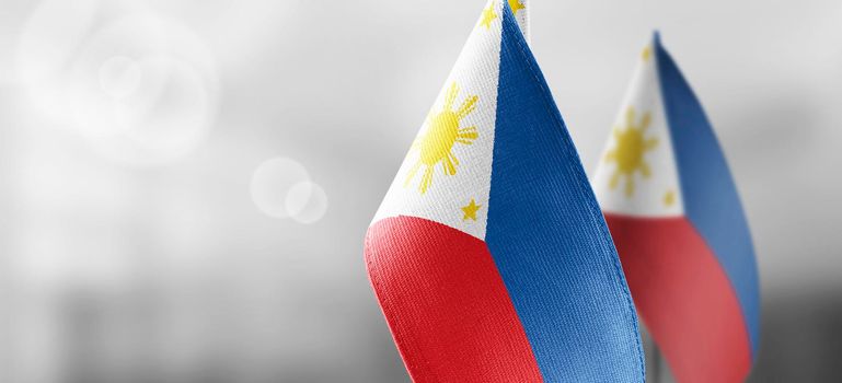 Small national flags of the Philippines on a light blurry background.