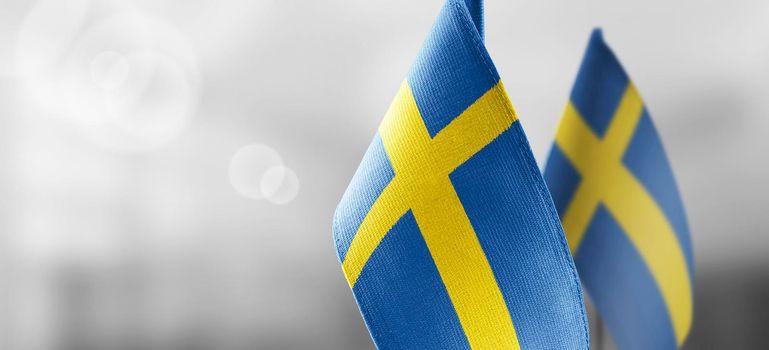 Small national flags of the Sweden on a light blurry background.