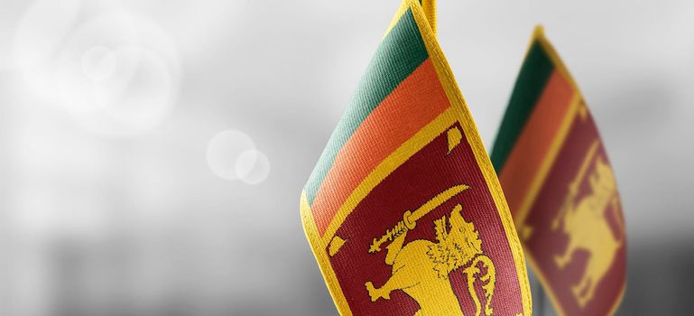 Small national flags of the Sri Lanka on a light blurry background.