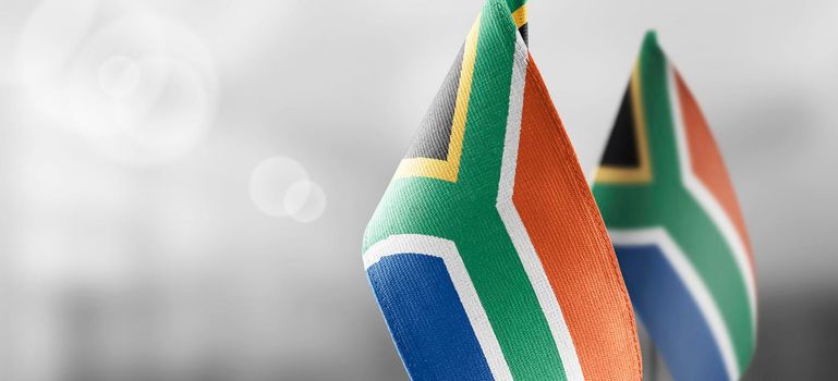 Small national flags of the South Africa on a light blurry background.