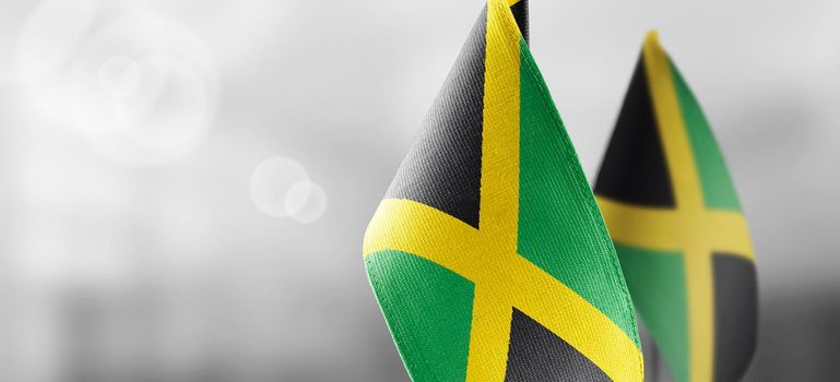 Small national flags of the Jamaica on a light blurry background.