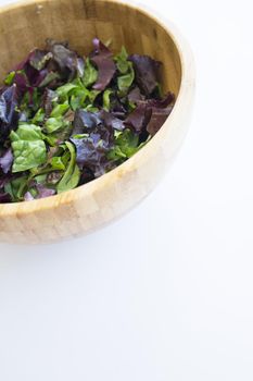 Quinoa, lettuce, lambs lettuce, black olives and cucumber salad. No people