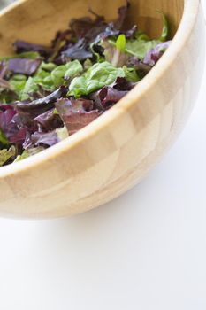 Quinoa, lettuce, lambs lettuce, black olives and cucumber salad. No people