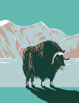 WPA poster art of the muskox or musk ox in winter in the Cape Krusenstern National Monument in northwestern Alaska, United States in works project administration or Federal Art Project style.