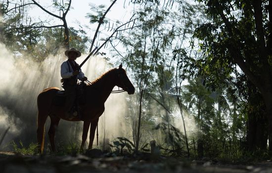Rider as cowboy outfit costume with a horses and a gun held in the hand against smoke and sunset background