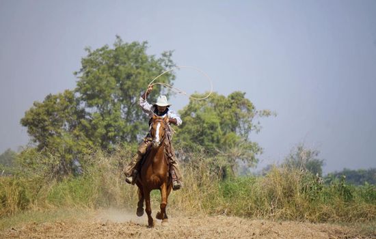 Rider as cowboy outfit costume with a horses and a gun held in the hand against smoke and sunset background