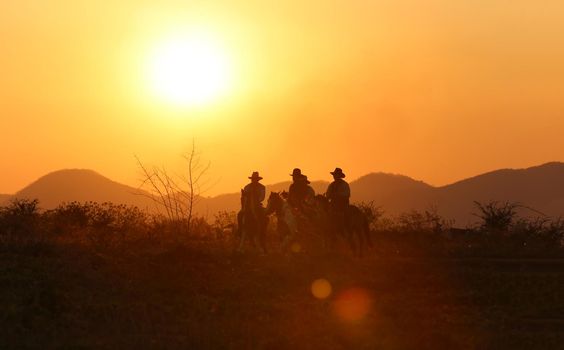 The silhouette of  rider as cowboy outfit costume with a horses and a gun held in the hand against smoke and sunset background