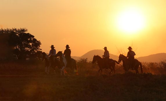 The silhouette of  rider as cowboy outfit costume with a horses and a gun held in the hand against smoke and sunset background