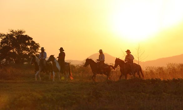 The silhouette of  rider as cowboy outfit costume with a horses and a gun held in the hand against smoke and sunset background