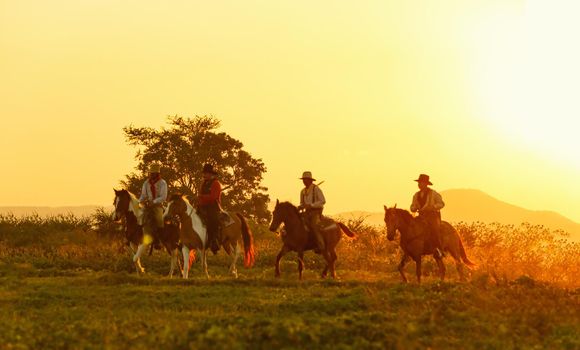 The silhouette of  rider as cowboy outfit costume with a horses and a gun held in the hand against smoke and sunset background