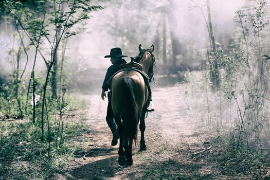 The silhouette of  rider as cowboy outfit costume with a horses and a gun held in the hand against smoke and sunset background