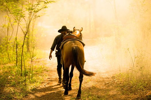 The silhouette of  rider as cowboy outfit costume with a horses and a gun held in the hand against smoke and sunset background