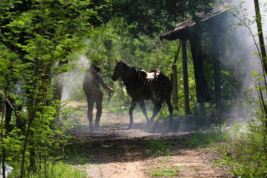 The silhouette of  rider as cowboy outfit costume with a horses and a gun held in the hand against smoke and sunset background
