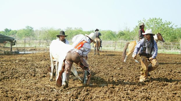 Farmer is working on farm with dairy cows in fence.