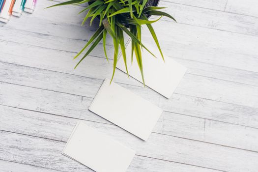 business cards flower in a pot on a wooden table, stationery in the office. High quality photo