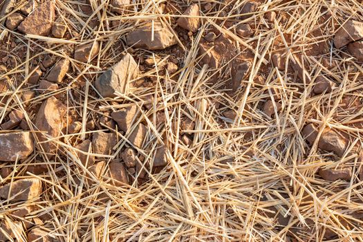 Arid and dry land in summer in an Andalusian countryside in southern Spain