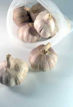 Garlics on white background, spice herb and food ingredient