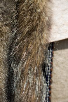 Decorative animal  fur as a background texture