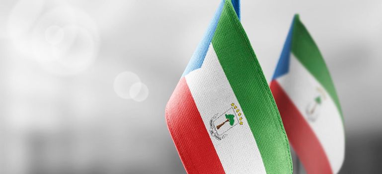 Small national flags of the Equatorial Guinea on a light blurry background.