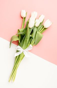 Spring flowers. Minimal. Top view of white tulips on double colored white and pink background