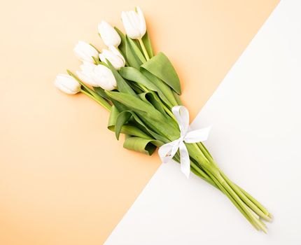 Spring flowers. Minimal. Top view of white tulips on double colored white and beige background