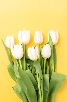 Spring concept. Top view of beautiful white tulips on yellow background