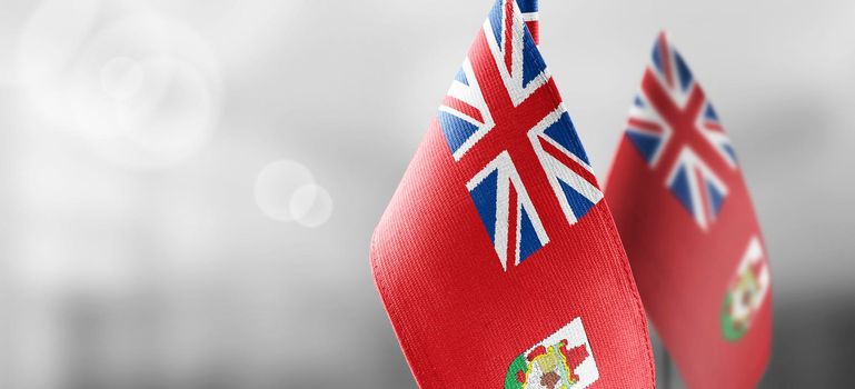 Patch of the national flag of the Bermuda on a white t-shirt.