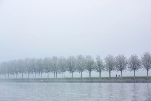 two people stroll along canal between tree lines in the netherlands on misty morning