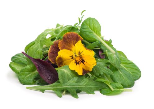 mix salad with arugula spinach salad red on a white background