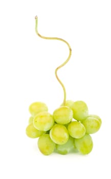 Green grape with leaves isolated on white. With clipping path.