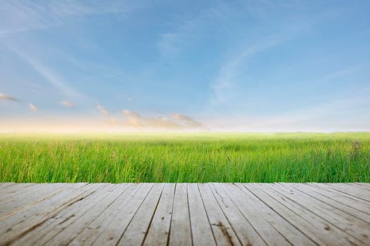 wooden batten bridge juts out into the expanse of the rice filed and beatiful sky