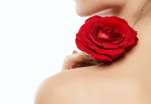 Charming brunette woman holding red flower near her face and cropped view portrait. High quality photo