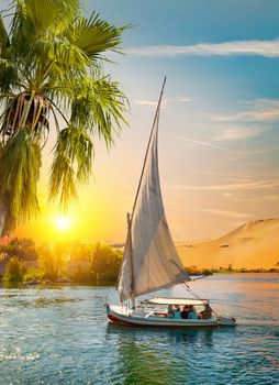 View of the Great Nile in Aswan at sunset