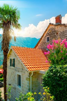 Old buildings with red-orange roofs in Kotor in Montenegro