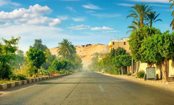 Road along the canal of the Nile River