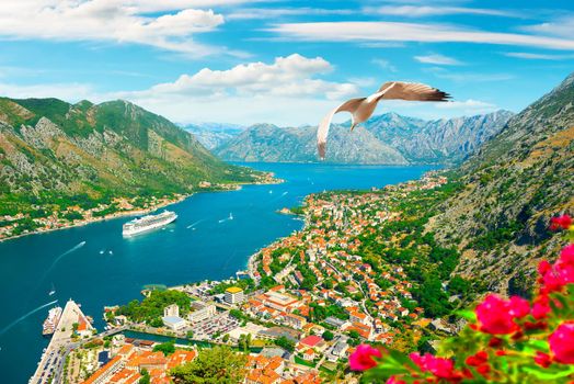 View of the seagull and the bay of Kotor in Montenegro