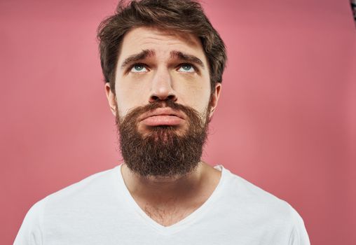 Upset car on a pink background portrait close-up puzzled look. High quality photo