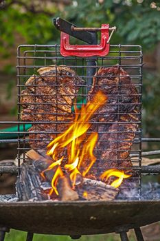 A traditional South African barbeque roasting the whole rib of lamb while standing it next to a small fire.