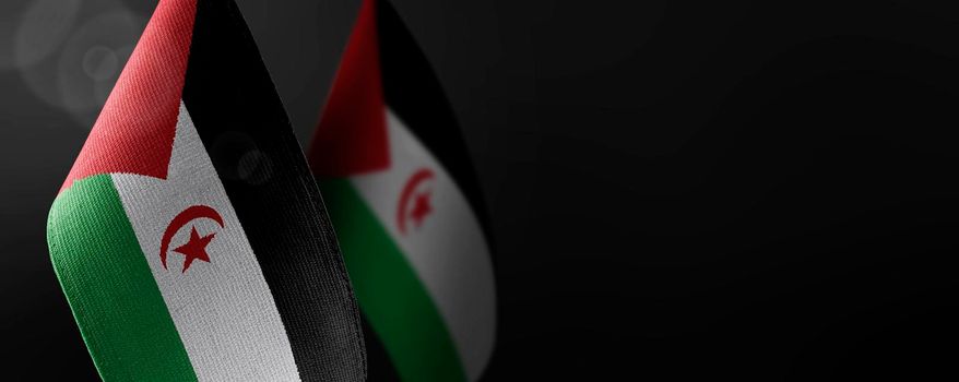 Small national flags of the Sahrawi on a dark background.