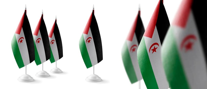 Set of Sahrawi national flags on a white background.