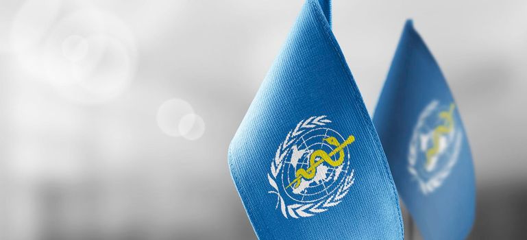 Patch of the national flag of the World Health Organization WHO on a white t-shirt.