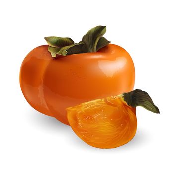 Juicy persimmon fruit on a white background. Realistic style illustration.