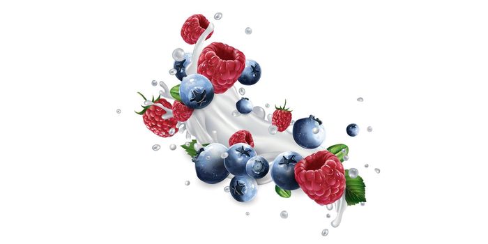 Blueberries and raspberries and a splash of yogurt or milk on a white background. Realistic style illustration.