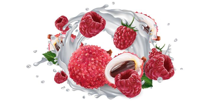 Fresh lychee and raspberries and a yogurt or milk splash on a white background. Realistic style illustration.