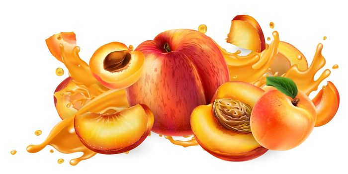Whole and sliced peaches and apricots and a splash of fruit juice on a white background. Realistic style illustration.