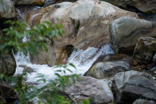 Wild river flow in forest with rock stones landscape in Taiwan.
