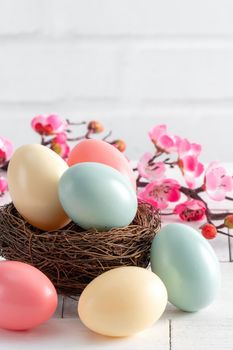 Close up of colorful Easter eggs in the nest with pink plum flower on bright white wooden table background.