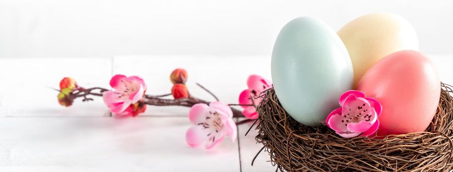 Close up of colorful Easter eggs in the nest with pink plum flower on bright white wooden table background.