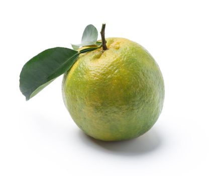 Beautiful immature green tangerine with leaves isolated on white background, clipping path, cut out, close up.
