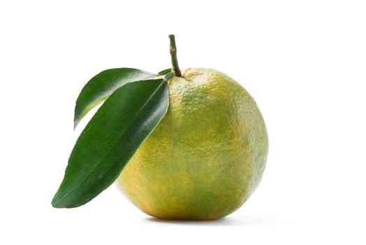 Beautiful immature green tangerine with leaves isolated on white background, clipping path, cut out, close up.